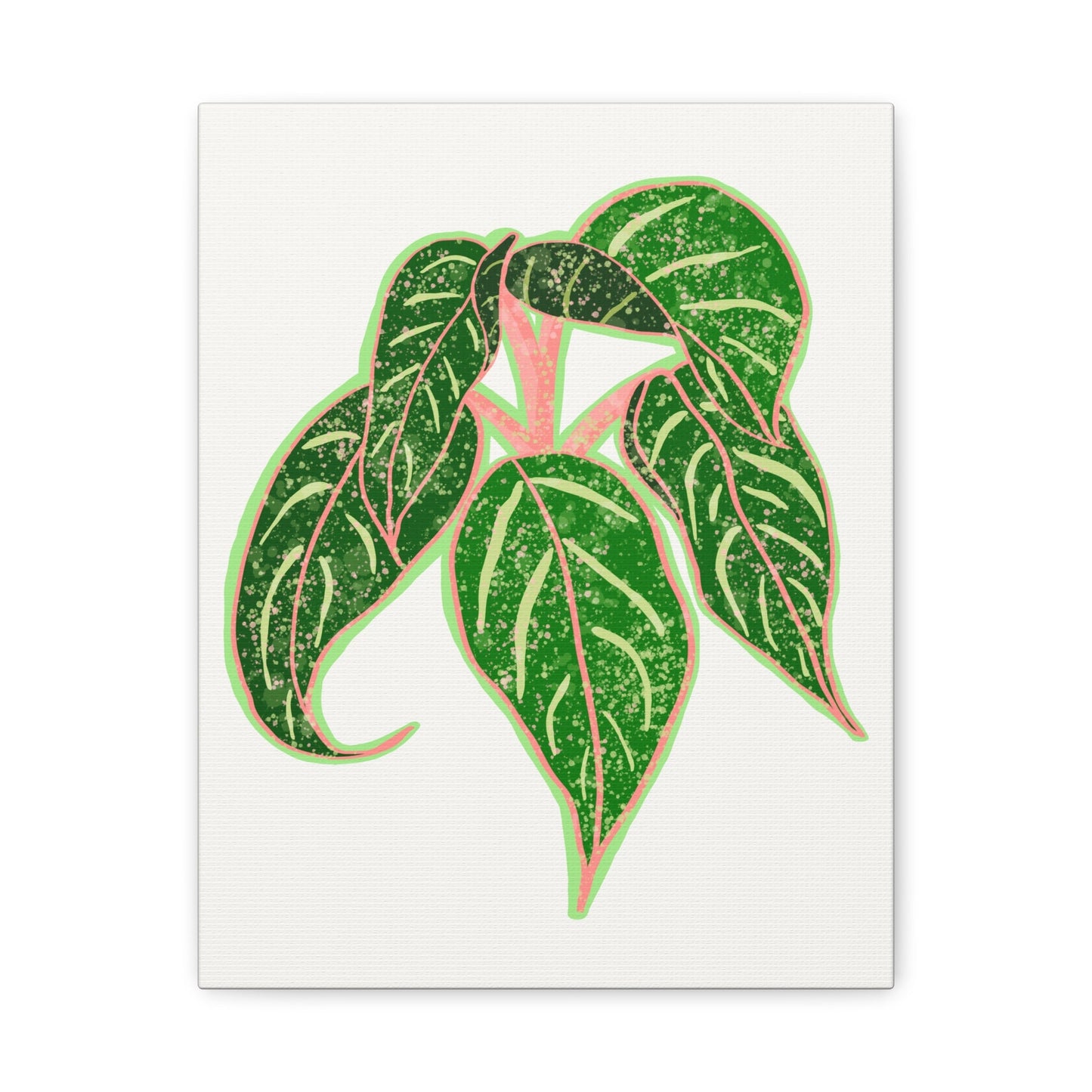 Aglaonema Sparkling Sarah Canvas Print – Botanical Wall Art
