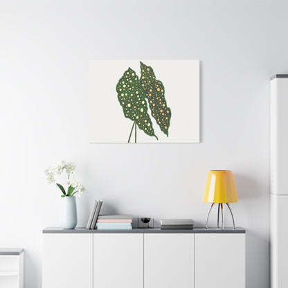 Begonia Maculata Canvas Print – Botanical Wall Art