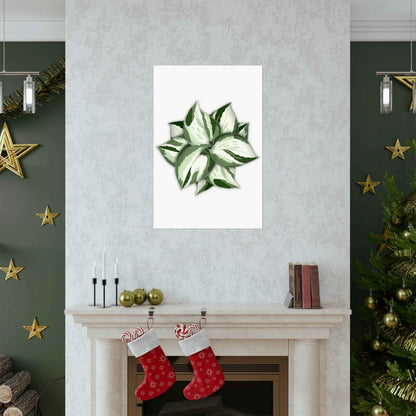 Manjula Pothos Botanical Print – Unframed Wall Art