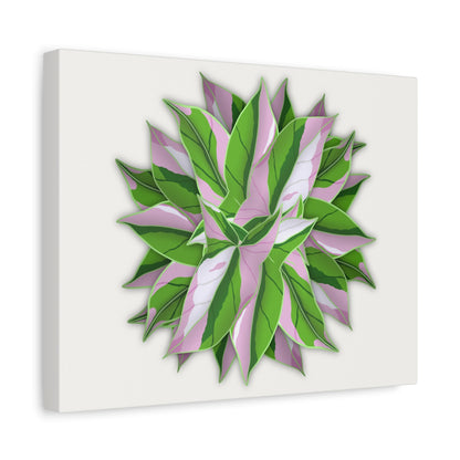 Syngonium Tricolor Pattern Canvas Print – Botanical Wall Art
