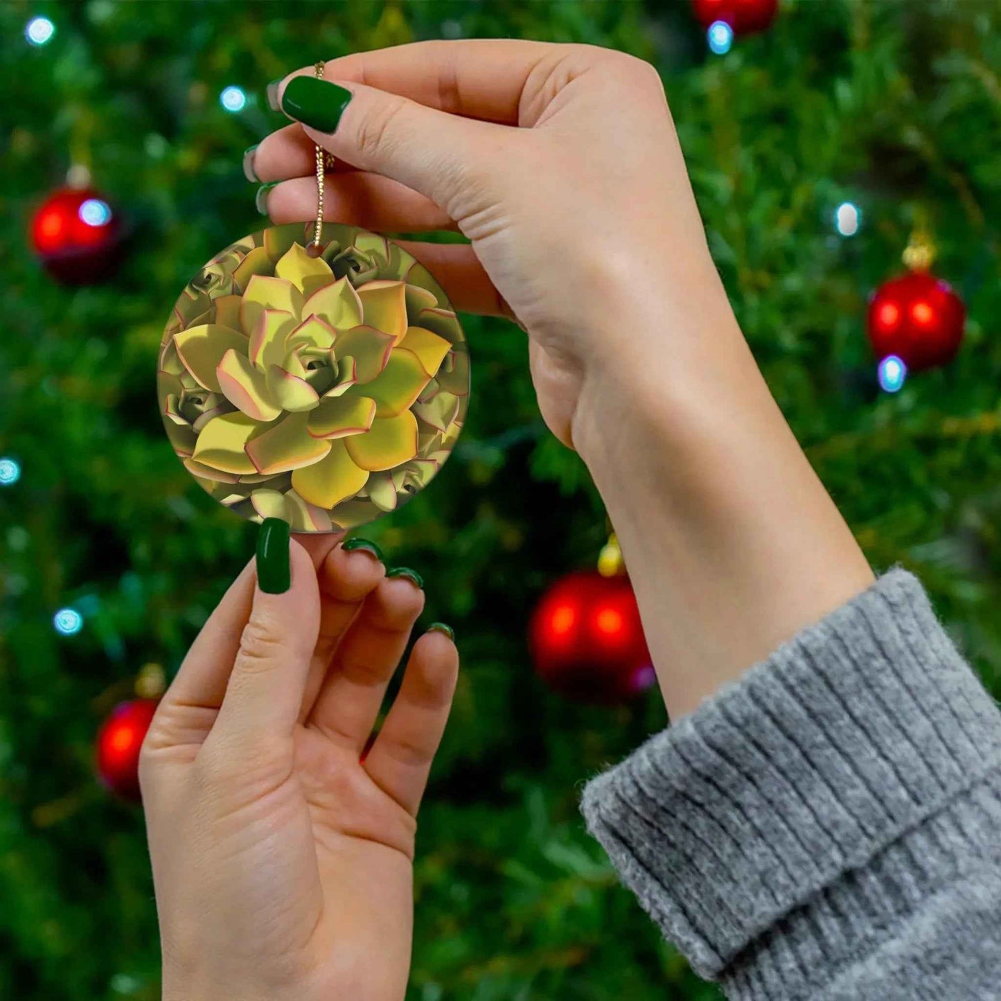 Noble Aeonium Succulent Ceramic Ornament – Canary Islands Pattern