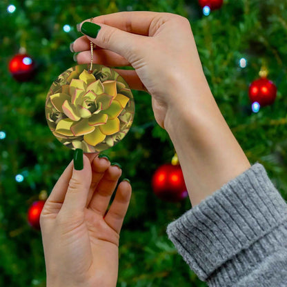 Noble Aeonium Succulent Ceramic Ornament – Canary Islands Pattern