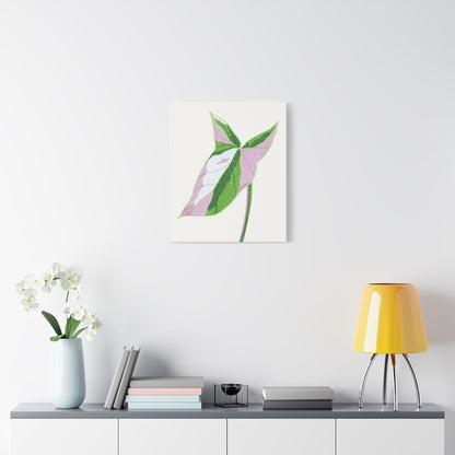Syngonium Tricolor Canvas Print – Botanical Wall Art