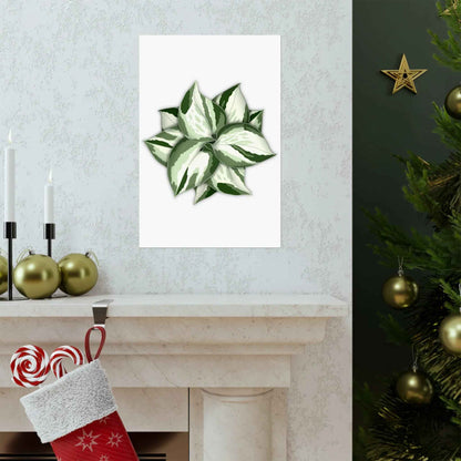 Manjula Pothos Botanical Print – Unframed Wall Art