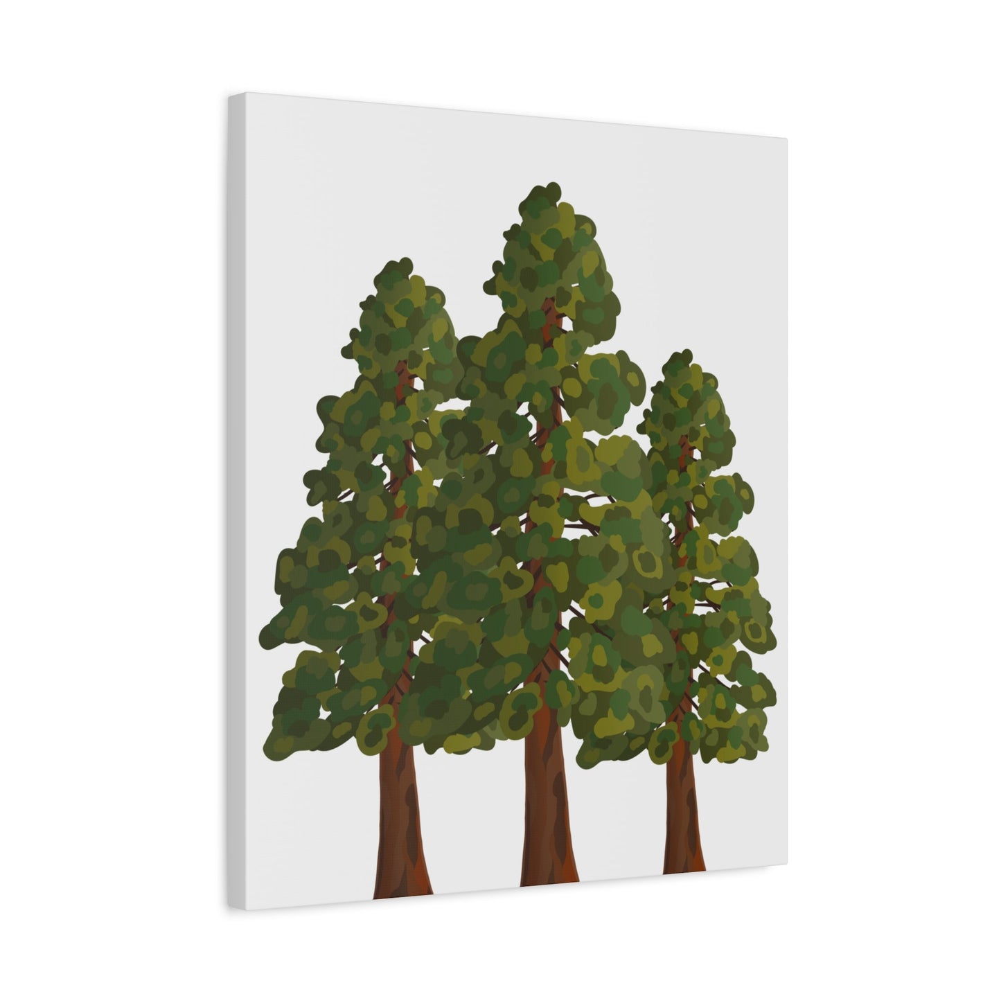 Coastal Redwood Canvas Print – Wall Art