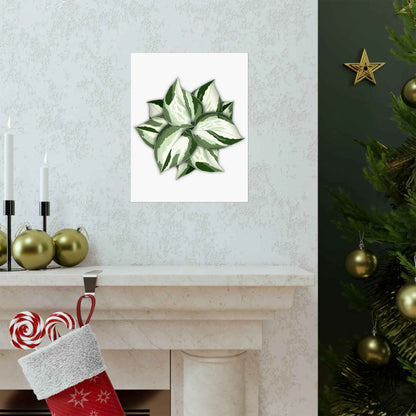 Manjula Pothos Botanical Print – Unframed Wall Art