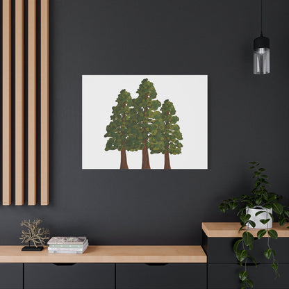 Coastal Redwood Canvas Print – Wall Art