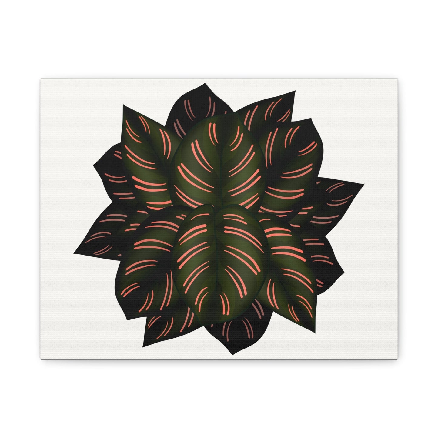 Calathea Pinstripe Canvas Print – Botanical Wall Art