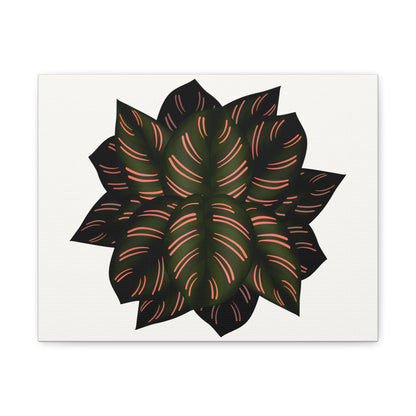 Calathea Pinstripe Canvas Print – Botanical Wall Art