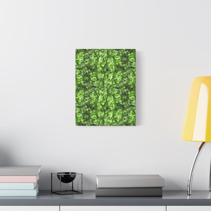 Aglaonema Pictum Canvas Print – Botanical Wall Art