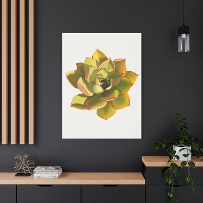 Noble Aeonium Succulent Canvas Print – Botanical Wall Art
