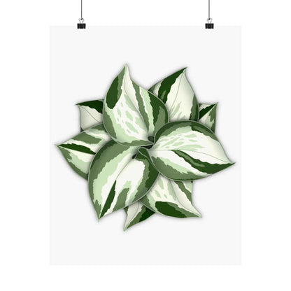 Manjula Pothos Botanical Print – Unframed Wall Art