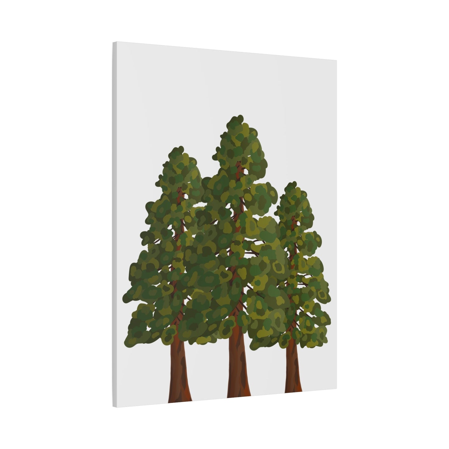 Coastal Redwood Canvas Print – Wall Art