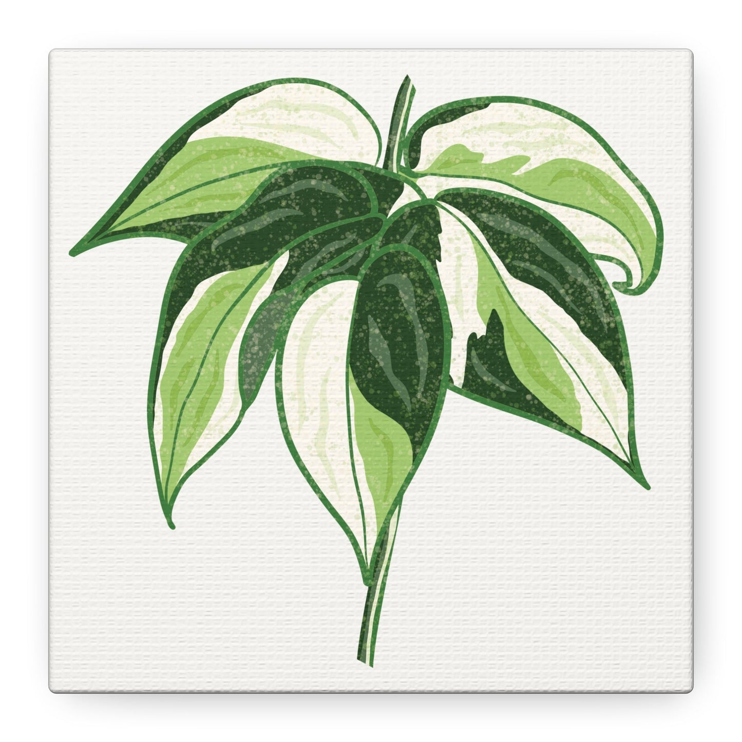 Philodendron Cream Splash Canvas Print – Botanical Wall Art