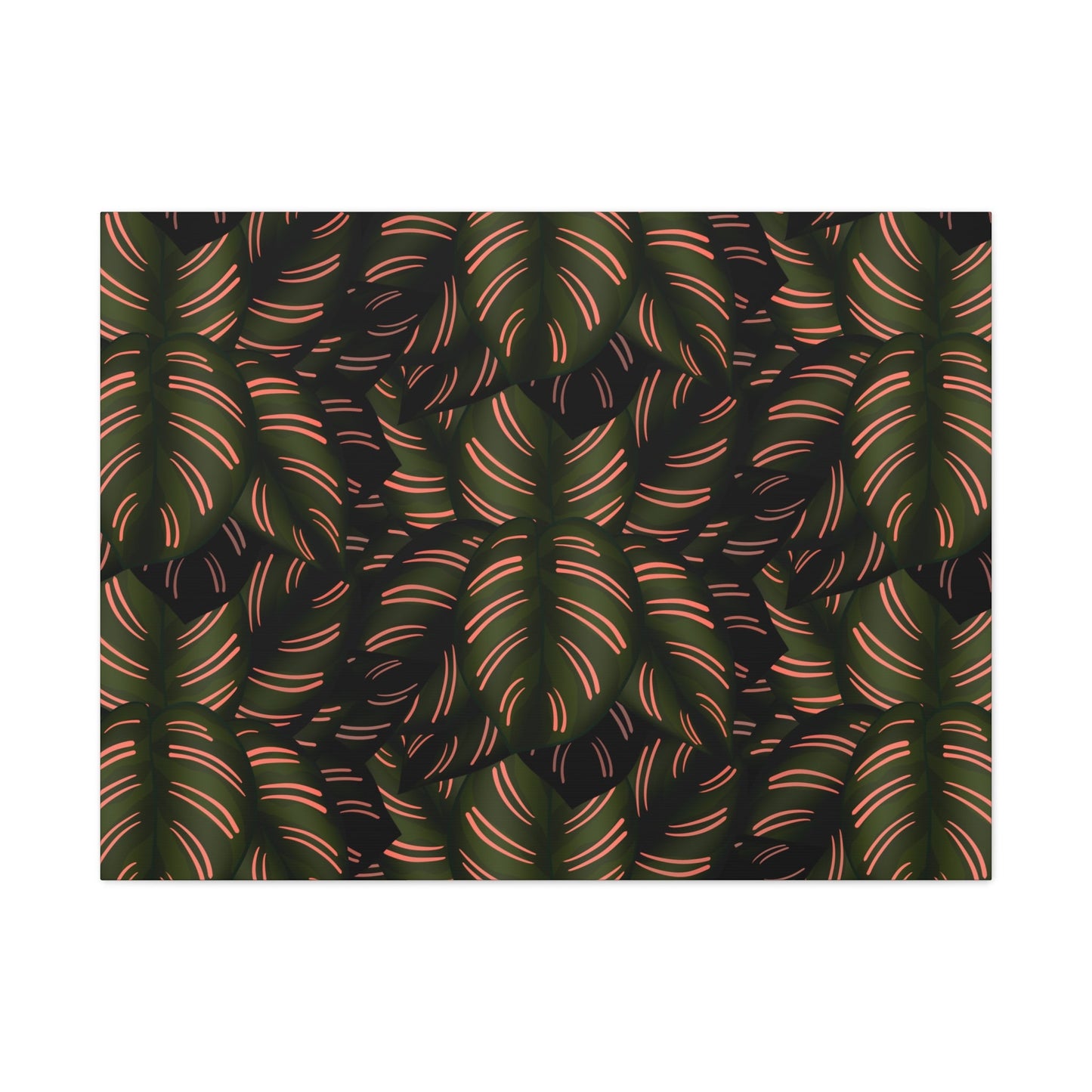 Calathea Pinstripe Pattern Canvas Print – Botanical Wall Art