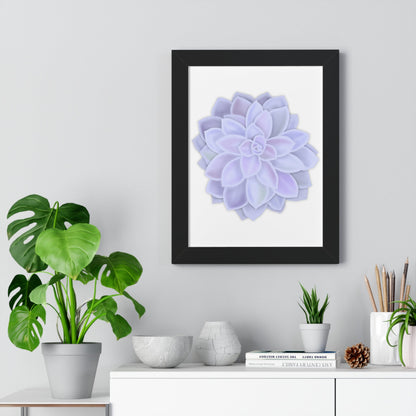 Graptopetalum Murasaki Succulent Framed Print – Botanical Wall Art