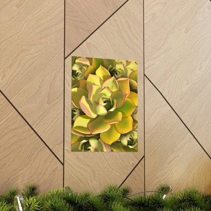 Noble Aeonium Succulent Pattern Botanical Print – Unframed Wall Art