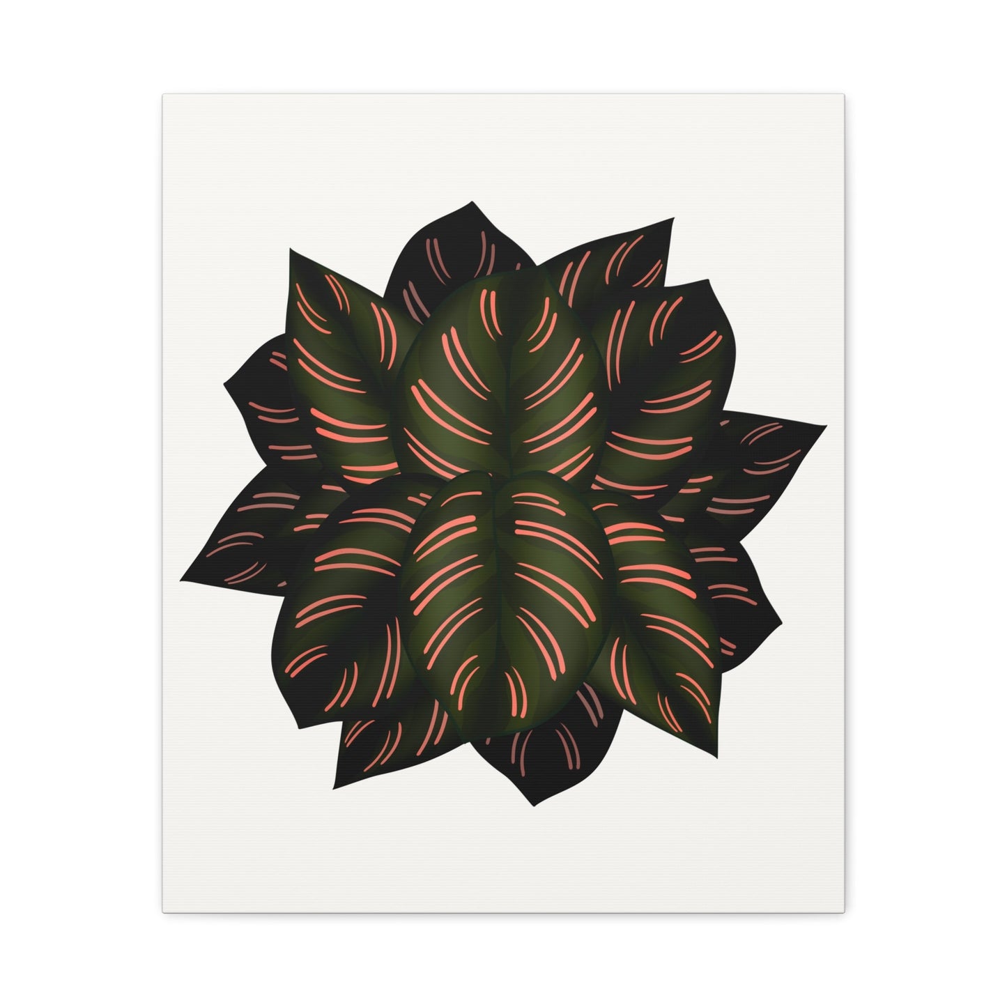 Calathea Pinstripe Canvas Print – Botanical Wall Art