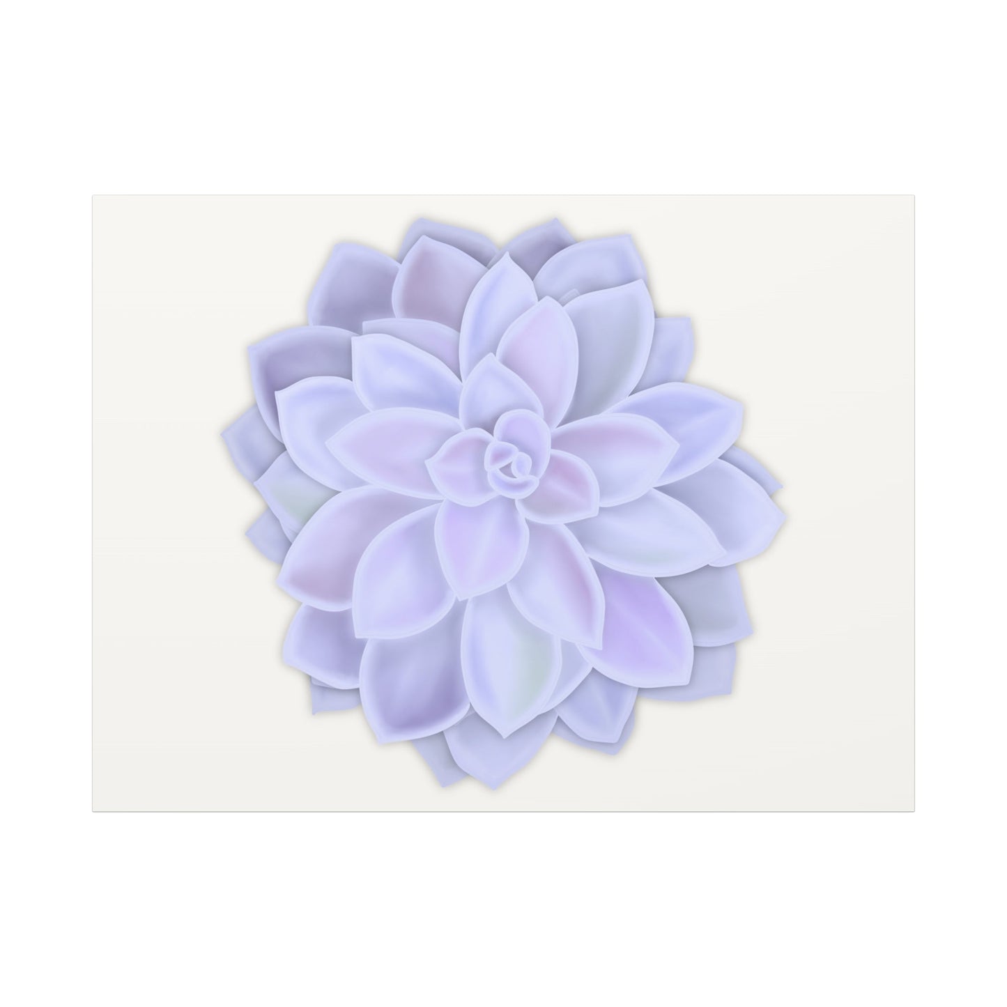 Graptopetalum Murasaki Succulent Canvas Print – Botanical Wall Art