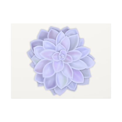 Graptopetalum Murasaki Succulent Canvas Print – Botanical Wall Art