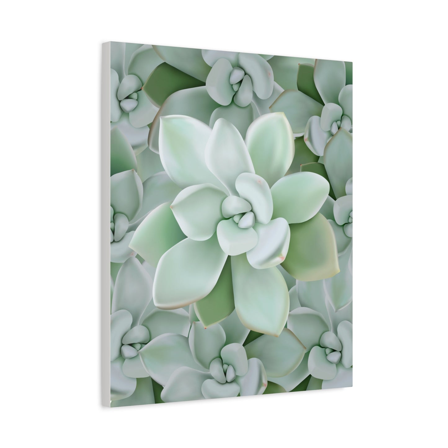 Pachyveria Haagei Succulent Pattern Canvas Print – Botanical Wall Art