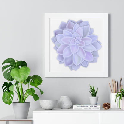 Graptopetalum Murasaki Succulent Framed Print – Botanical Wall Art