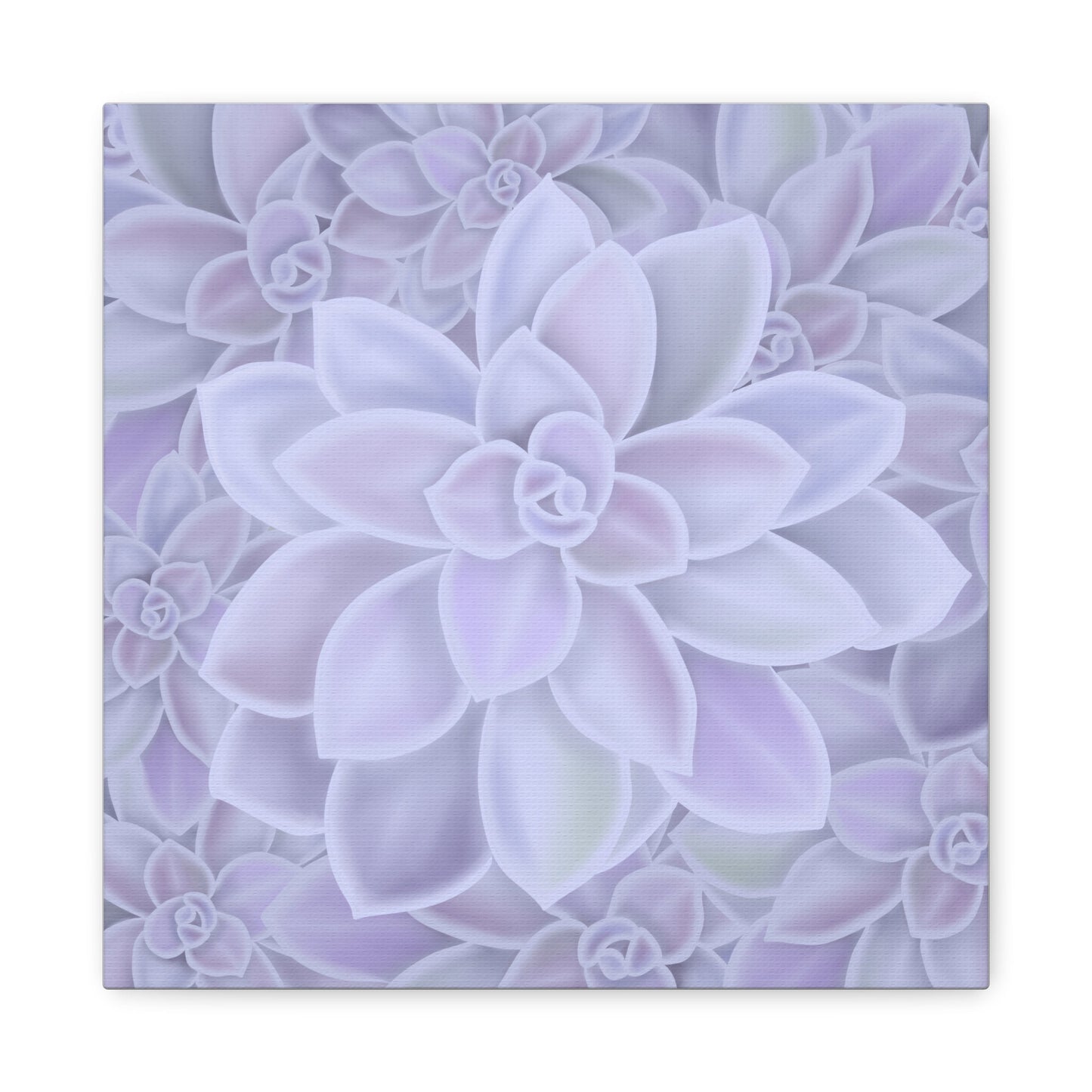 Graptopetalum Murasaki Succulent Pattern Canvas Print – Botanical Wall Art