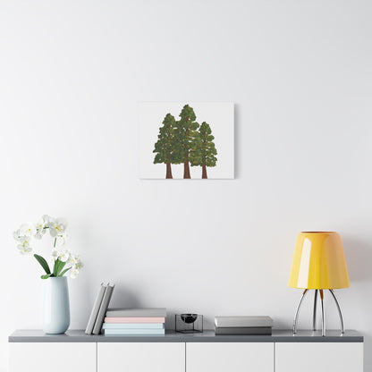 Coastal Redwood Canvas Print – Wall Art