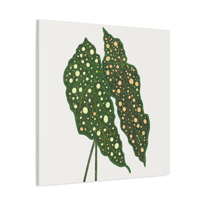 Begonia Maculata Canvas Print – Botanical Wall Art