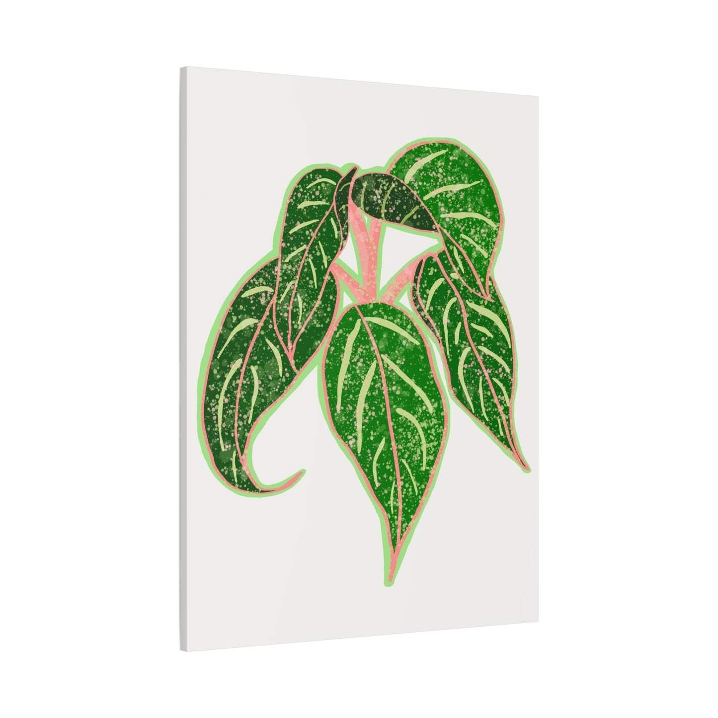 Aglaonema Sparkling Sarah Canvas Print – Botanical Wall Art