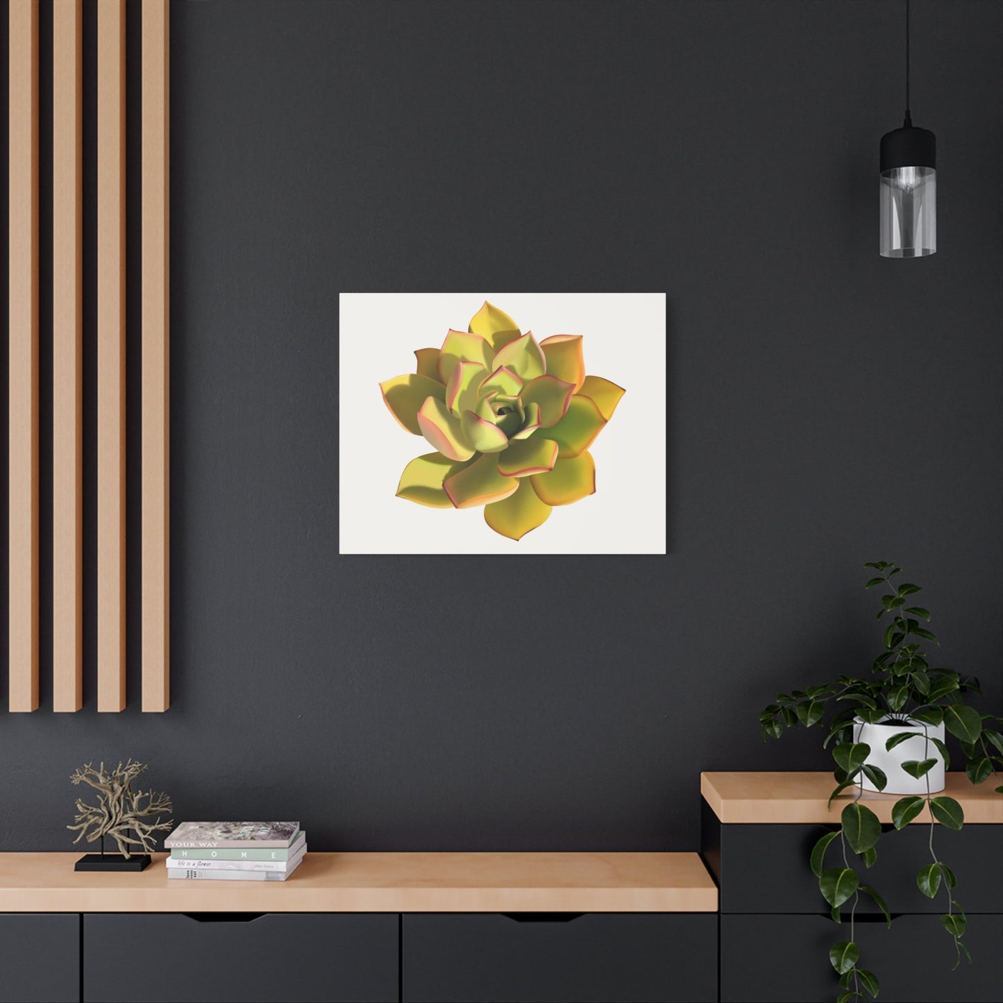 Noble Aeonium Succulent Canvas Print – Botanical Wall Art