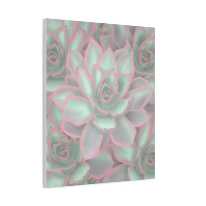 Echeveria Violet Queen Succulent Pattern Canvas Print – Botanical Wall Art