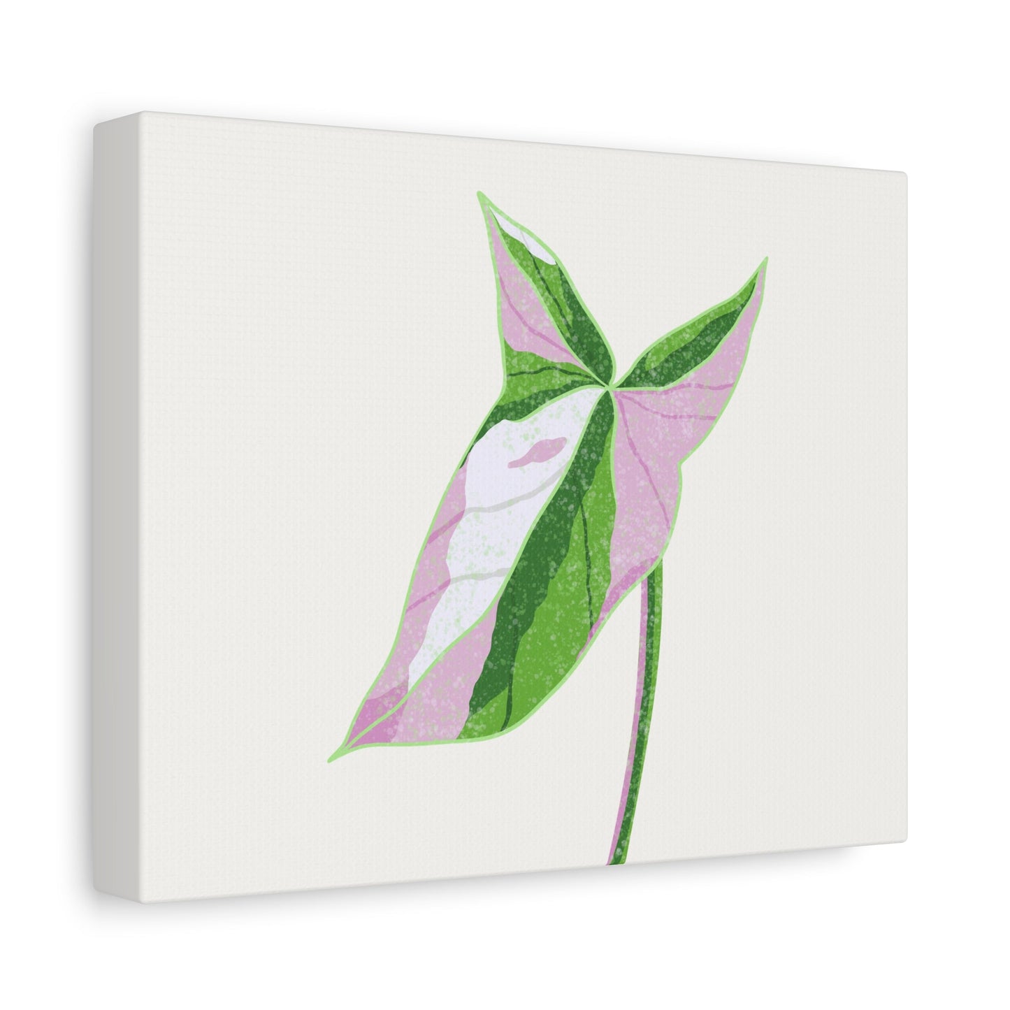 Syngonium Tricolor Canvas Print – Botanical Wall Art