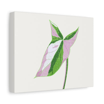 Syngonium Tricolor Canvas Print – Botanical Wall Art