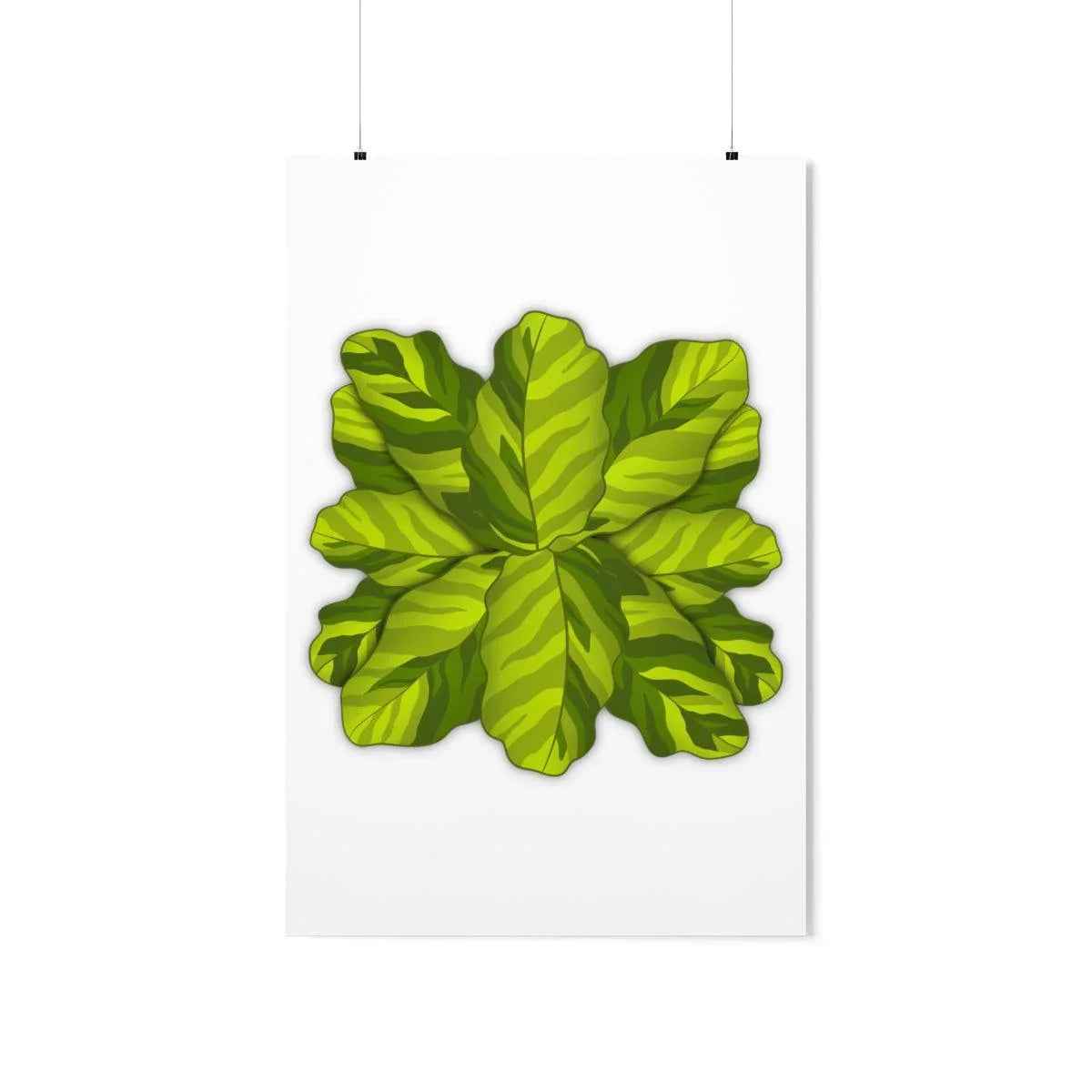 Calathea Yellow Fusion Botanical Print – Unframed Wall Art