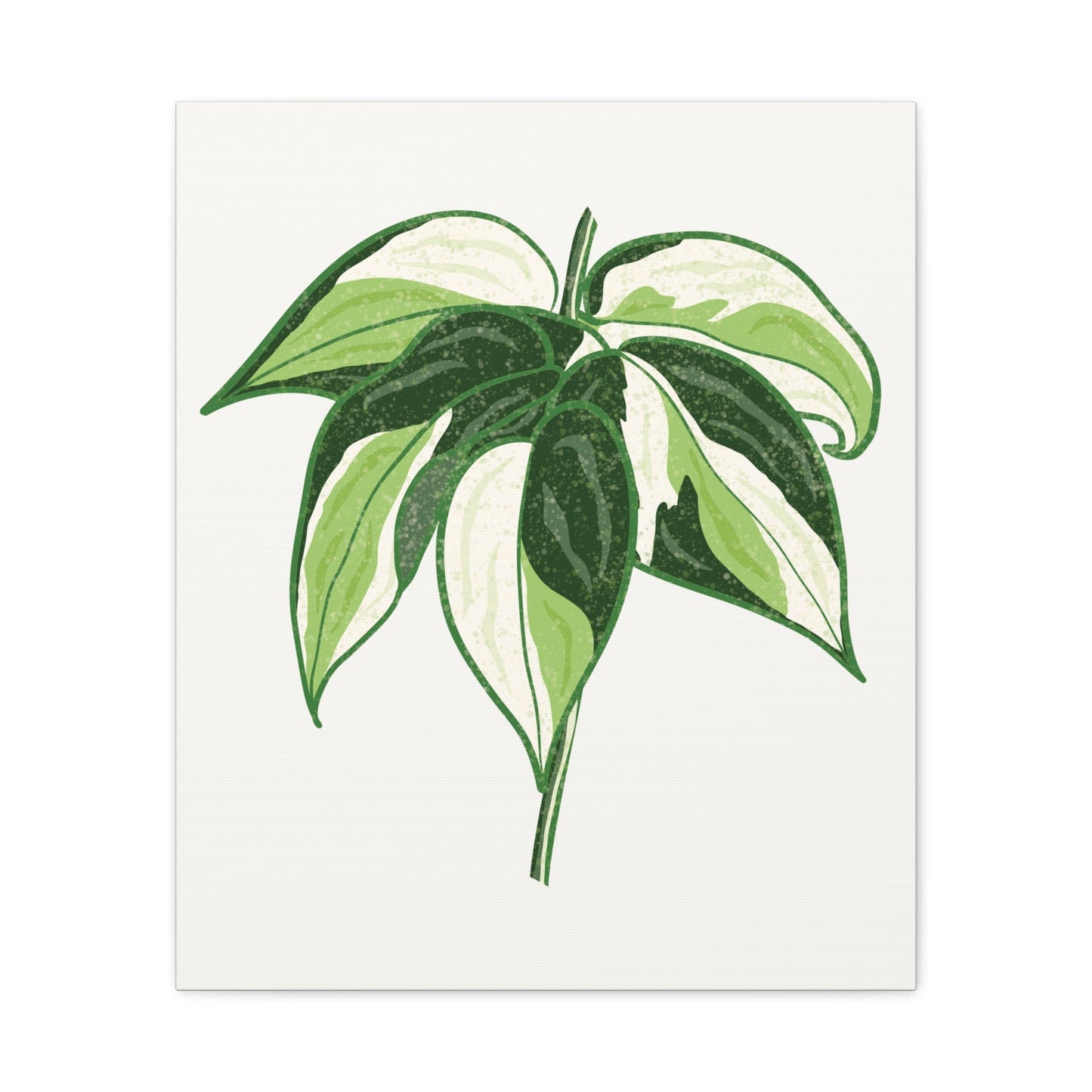 Philodendron Cream Splash Canvas Print – Botanical Wall Art
