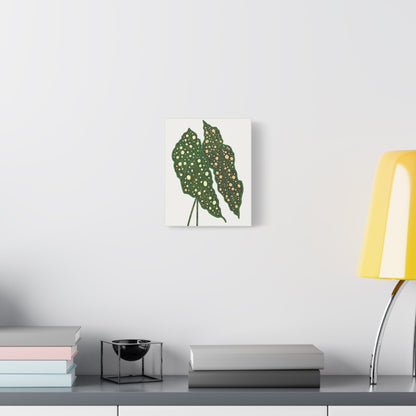 Begonia Maculata Canvas Print – Botanical Wall Art