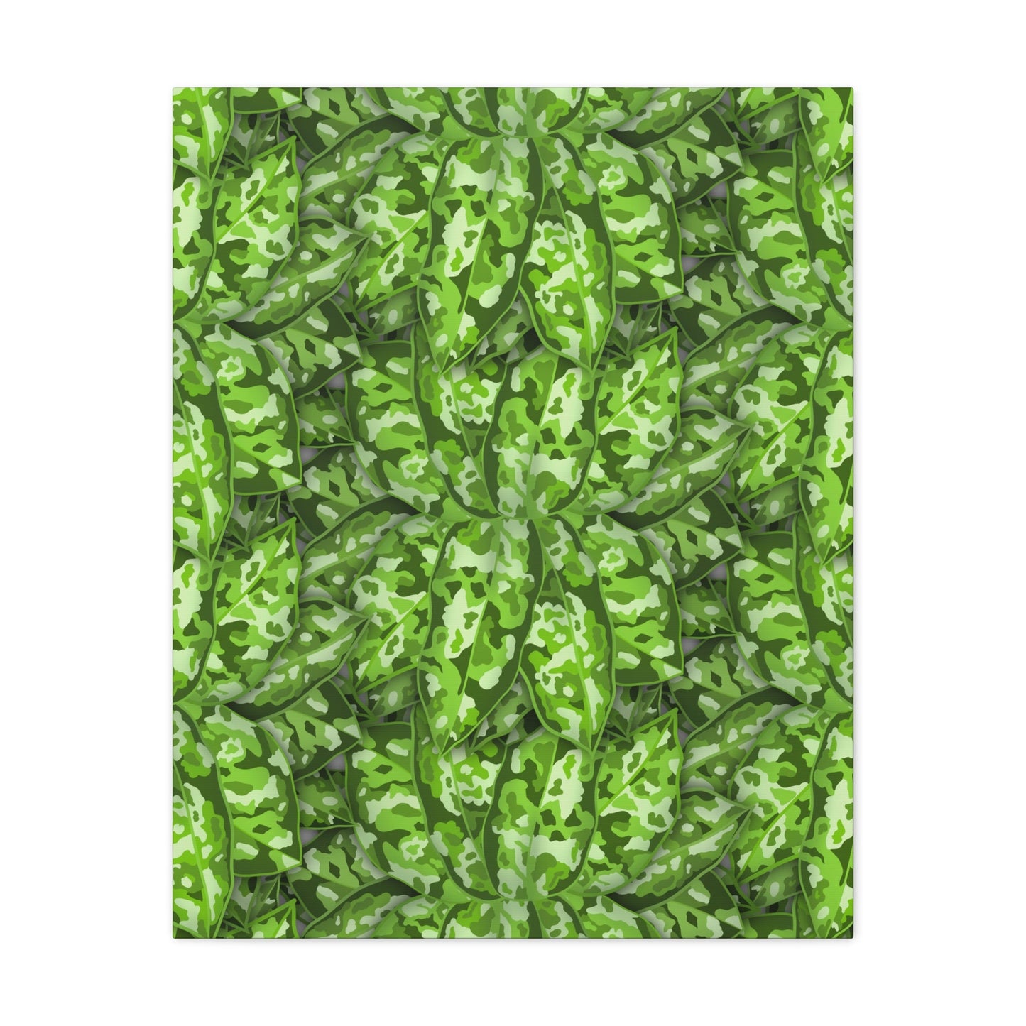 Aglaonema Pictum Canvas Print – Botanical Wall Art