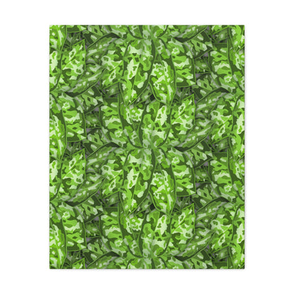 Aglaonema Pictum Canvas Print – Botanical Wall Art