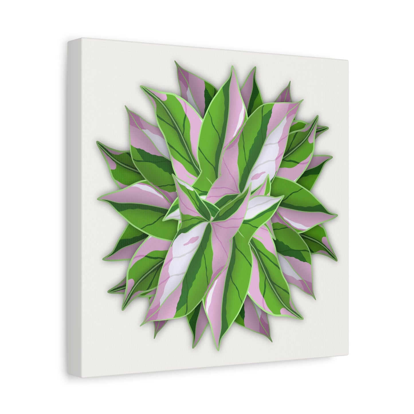 Syngonium Tricolor Pattern Canvas Print – Botanical Wall Art