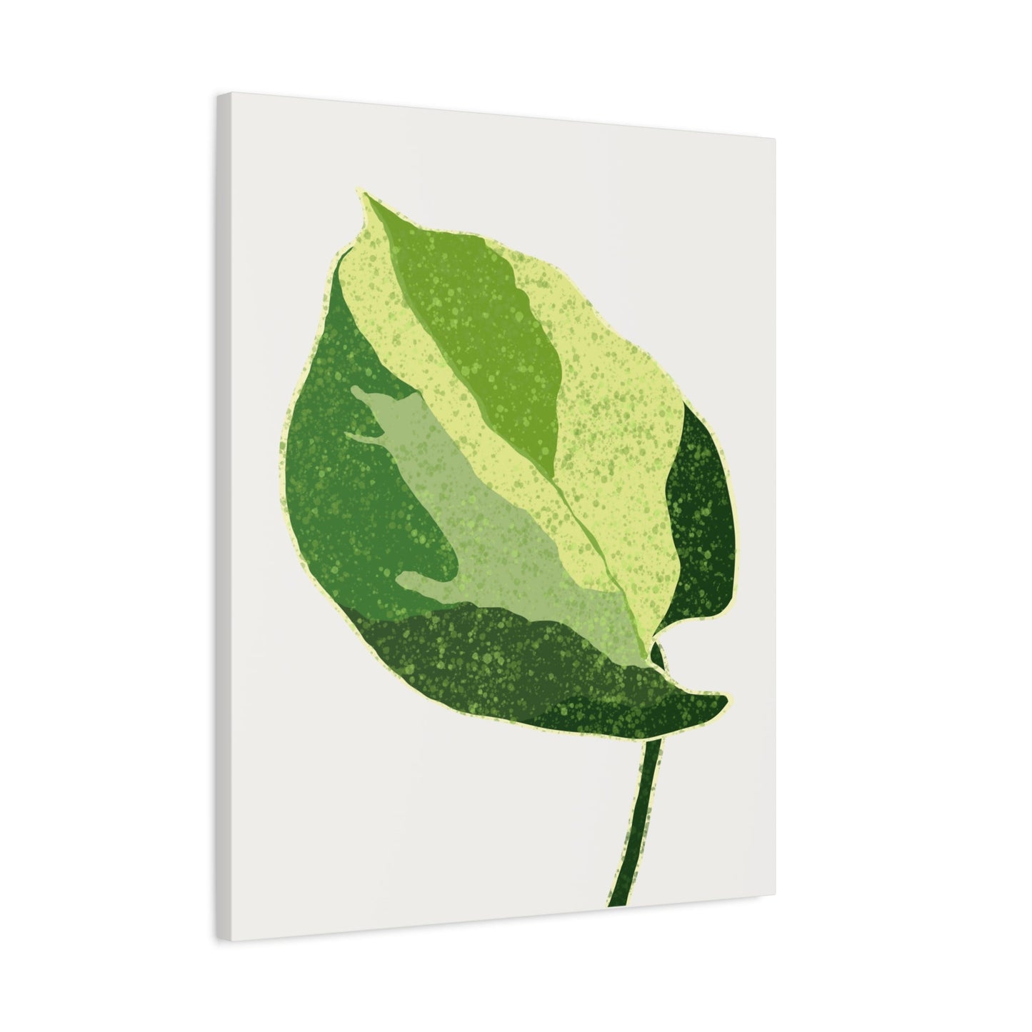 Manjula Pothos Illustrated Canvas Print – Botanical Wall Art