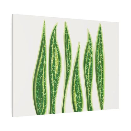 Snake Plant Canvas Print – Botanical Wall Art