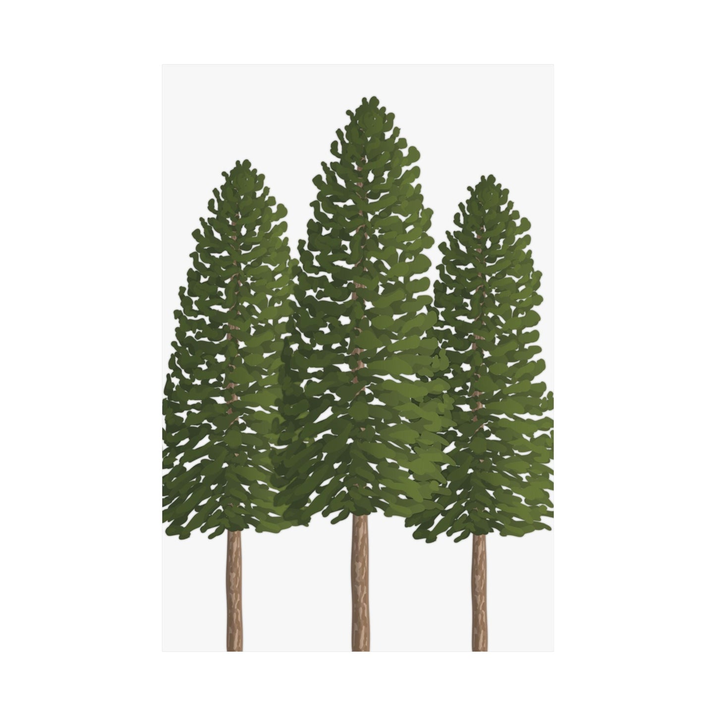Ponderosa Pine Print – Unframed Wall Art