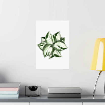 Manjula Pothos Botanical Print – Unframed Wall Art