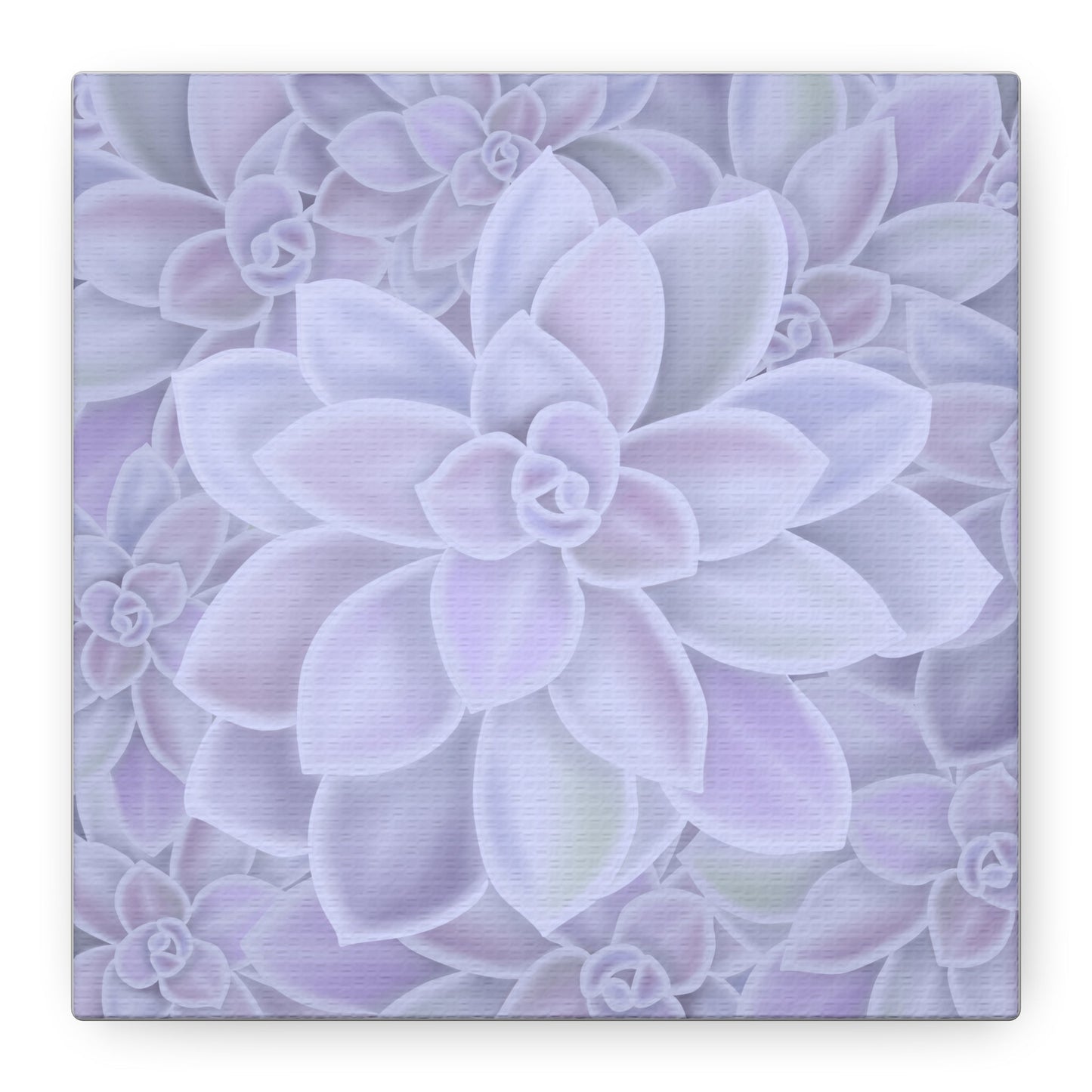 Graptopetalum Murasaki Succulent Pattern Canvas Print – Botanical Wall Art