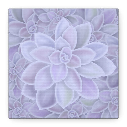 Graptopetalum Murasaki Succulent Pattern Canvas Print – Botanical Wall Art