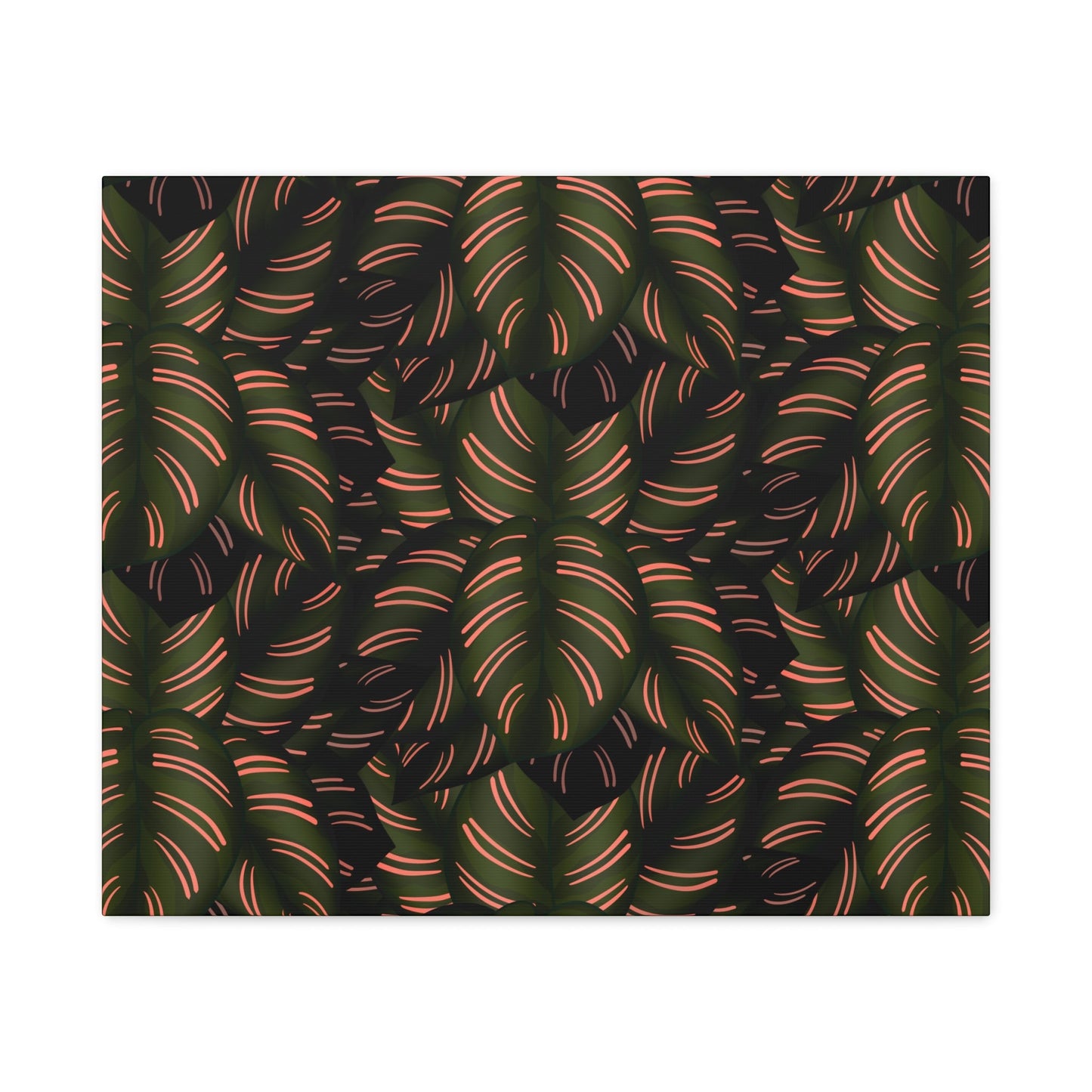 Calathea Pinstripe Pattern Canvas Print – Botanical Wall Art