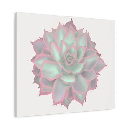 Echeveria Violet Queen Succulent Canvas Print – Botanical Wall Art