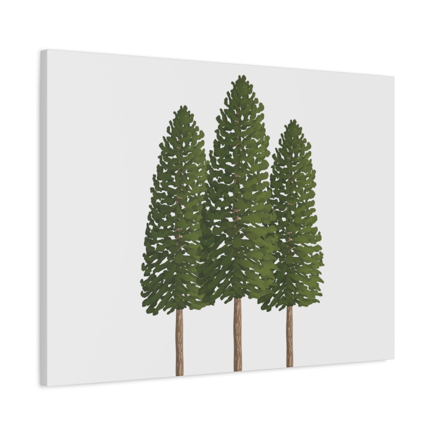 Ponderosa Pine Canvas Print – Wall Art