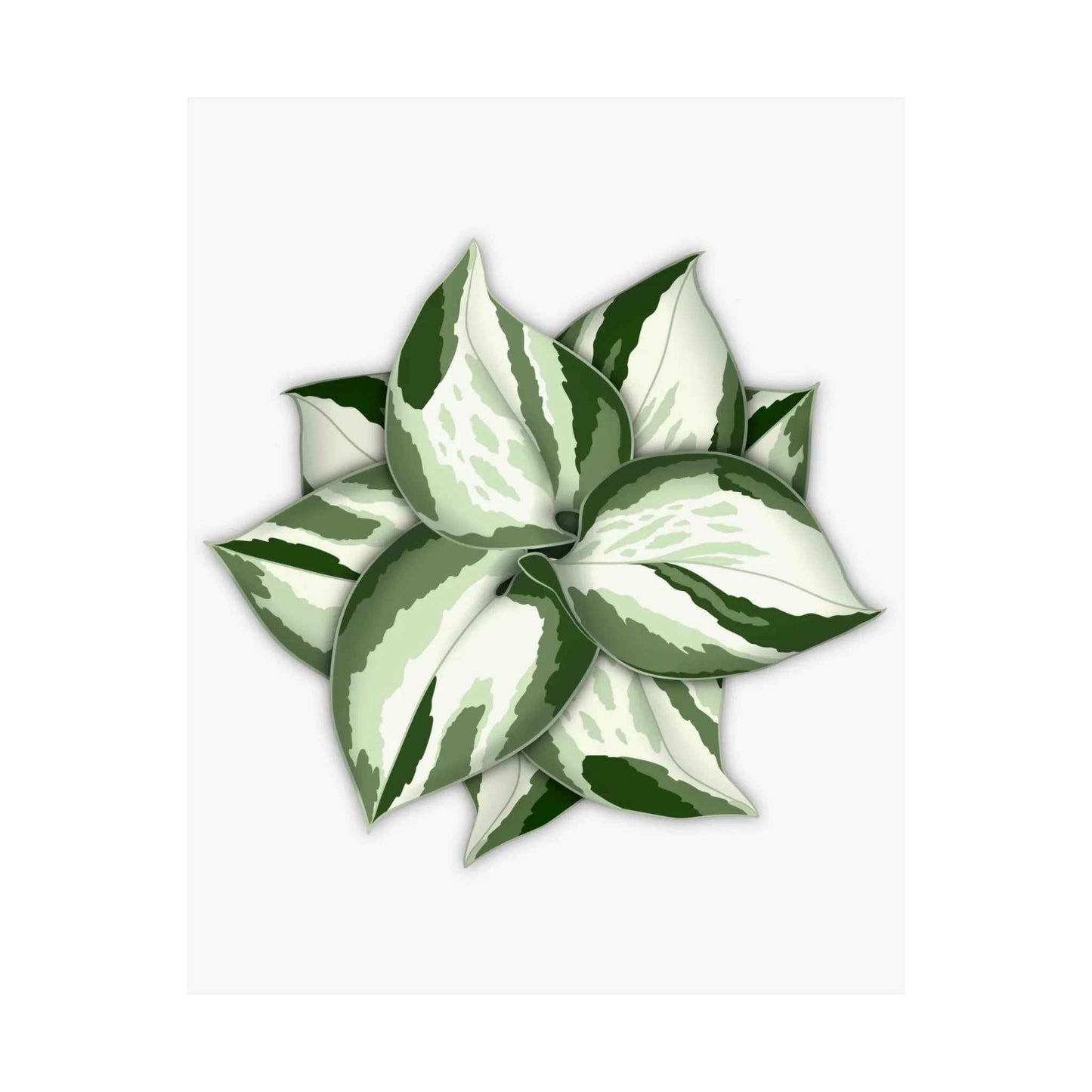 Manjula Pothos Botanical Print – Unframed Wall Art